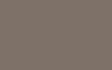 NISSAN Light Reddish Brown AH8