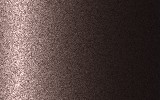 NISSAN Dark Brown 204