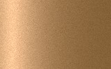 NISSAN Light Brown C51