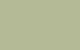 OPEL/VAUXHALL Crystal Green 5GN