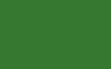 OPEL/VAUXHALL Apple Green/Apfelgruen 36L