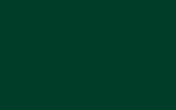 OPEL/VAUXHALL Moss Green 6005-Gl 9NQ