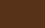 OPEL/VAUXHALL Nut Brown (Whitbread Breweries) 8011 9TG