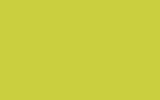 OPEL/VAUXHALL Lemon Green/Gruen 870