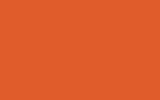 PORSCHE Gulf Orange 019