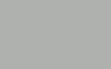 PORSCHE Light Oxford Grey Y62