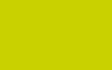 PORSCHE Acidgreen L2M8