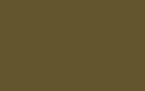 PORSCHE Olive Neo M6D