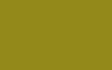 PORSCHE Lindgruen /Lindengreen 226
