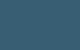 RENAULT Bleu Danube 453