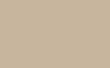 RENAULT Beige 104