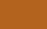 RENAULT Orange 339
