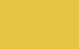 RENAULT Jaune Eclair ENW