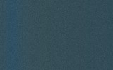 RENAULT Stone Washed Blue RRN