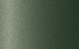 ROLLS ROYCE Larch Green 9510139