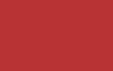 ROVER Simmons Red 1161