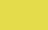 SEAT Amarillo Fluor R-11203 LS1E