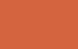 SEAT Mali Orange LW2A