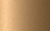 SEAT Beige Dorado 598