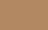 SKODA Nut Brown 2094