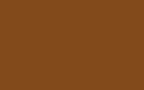 SKODA Cinnamon Brown 2301