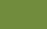 SKODA Light Green 5122