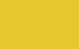 SUBARU Lemon Yellow 22