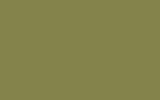 SUBARU Lime Green 50