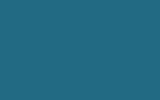 SUZUKI Blue 39V