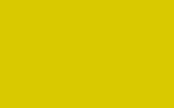 SUZUKI Lovely Yellow 15V
