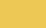 SUZUKI Brilliant Yellow ZY2