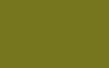 TOYOTA Yellow Green 6H2
