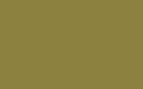 TOYOTA Yellow Green 6C8