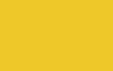 TOYOTA Signal Yellow 567
