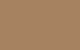 TOYOTA Beige 4B8