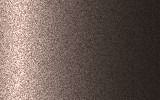 TOYOTA Grayish Brown 4L7