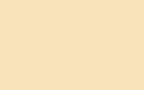 TOYOTA Pale Yellow 564