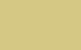 TOYOTA Yellow 5A2