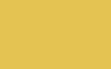 TOYOTA Yellow 5A6