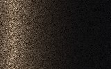 TOYOTA Dark Brown 4U5