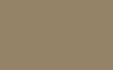 TOYOTA New Beige 4V6