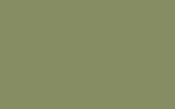 VOLKSWAGEN Cedar Green LD6G