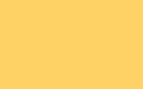 VOLKSWAGEN Sunflower/Saturn Yellow 9166