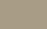 VOLKSWAGEN Kansas Beige LG1K