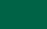VOLVO Emerald Green 1416