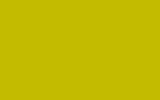 BMW Mugiallo Yellow YM3W