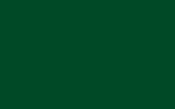 Harley Davidson Green Stripes 602