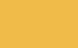 Harley Davidson Industrial Yellow EXE