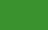 Honda Green 616