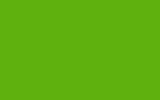 Kawasaki Lime Green 636